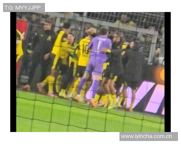 绝杀时刻!拜尔狂奔释放激情难以自控庆祝方式成谜 绝杀时刻!拜尔狂奔释放激情难以自控庆祝方式成谜