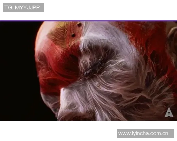 奥斯卡回忆海港报价超出预期导致我失眠数日的心路历程 奥斯卡回忆海港报价超出预期导致我失眠数日的心路历程